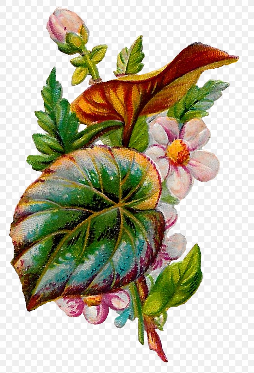 Watercolor Floral Background, PNG, 1091x1600px, Floral Design, Anthurium, Begonia, Botany, Flora Download Free