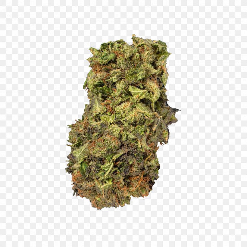 Kush Medical Cannabis Cannabis Sativa Project MKUltra, PNG, 1417x1417px, Kush, Breed, California, Camouflage, Canada Download Free