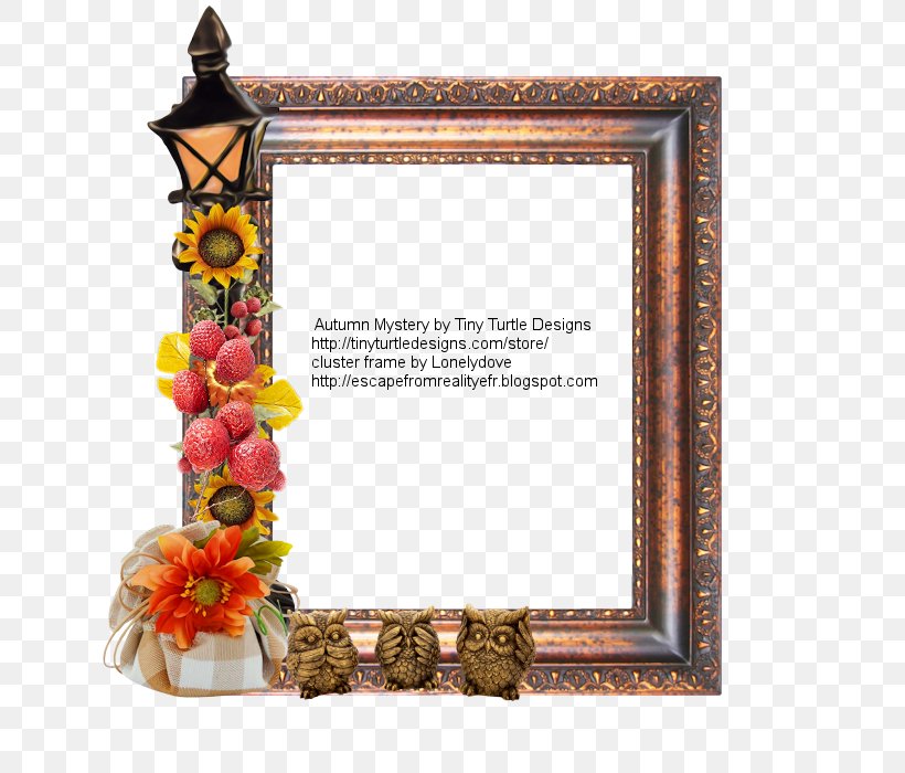 Picture Frames Rectangle Flower, PNG, 700x700px, Picture Frames, Decor, Flower, Mirror, Picture Frame Download Free
