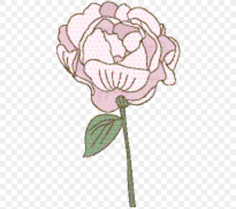 Pink Flowers Background, PNG, 450x728px, Floral Design, Cabbage Rose, Cut Flowers, Drawing, Flower Download Free