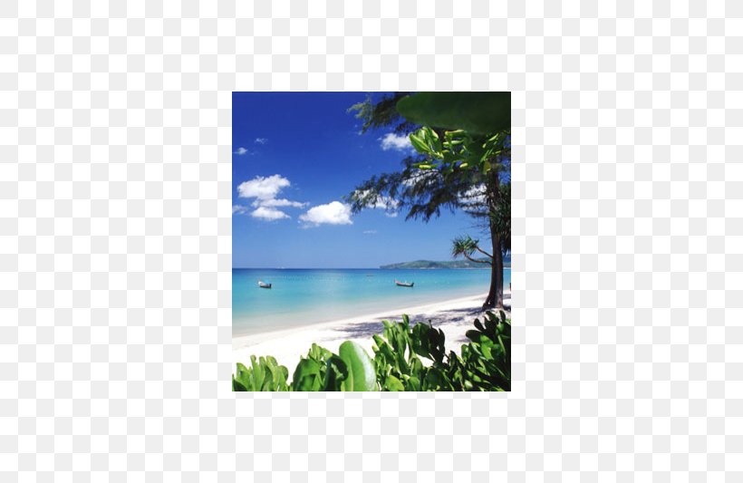 Beach Wayang Apartment Desktop Wallpaper, PNG, 800x533px, Beach, Apartment, Caribbean, Jaipongan, Sea Download Free