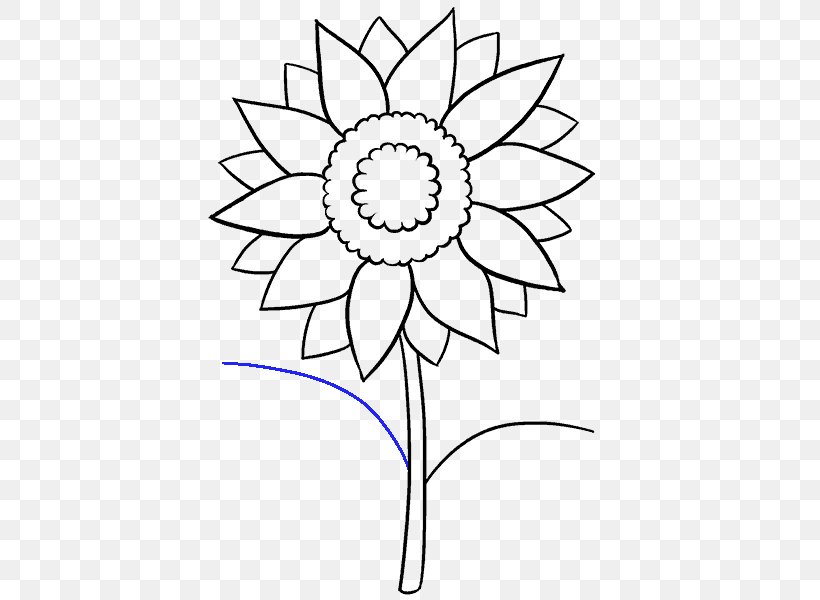 Drawing Common Sunflower Art Sketch, PNG, 678x600px, Drawing, Area, Art, Art Museum, Artwork Download Free