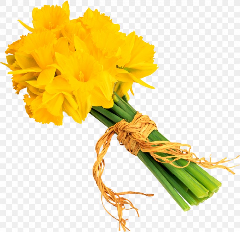Flower Bouquet Daffodil Clip Art, PNG, 1280x1241px, Flower, Carnation, Cut Flowers, Daffodil, Flower Bouquet Download Free