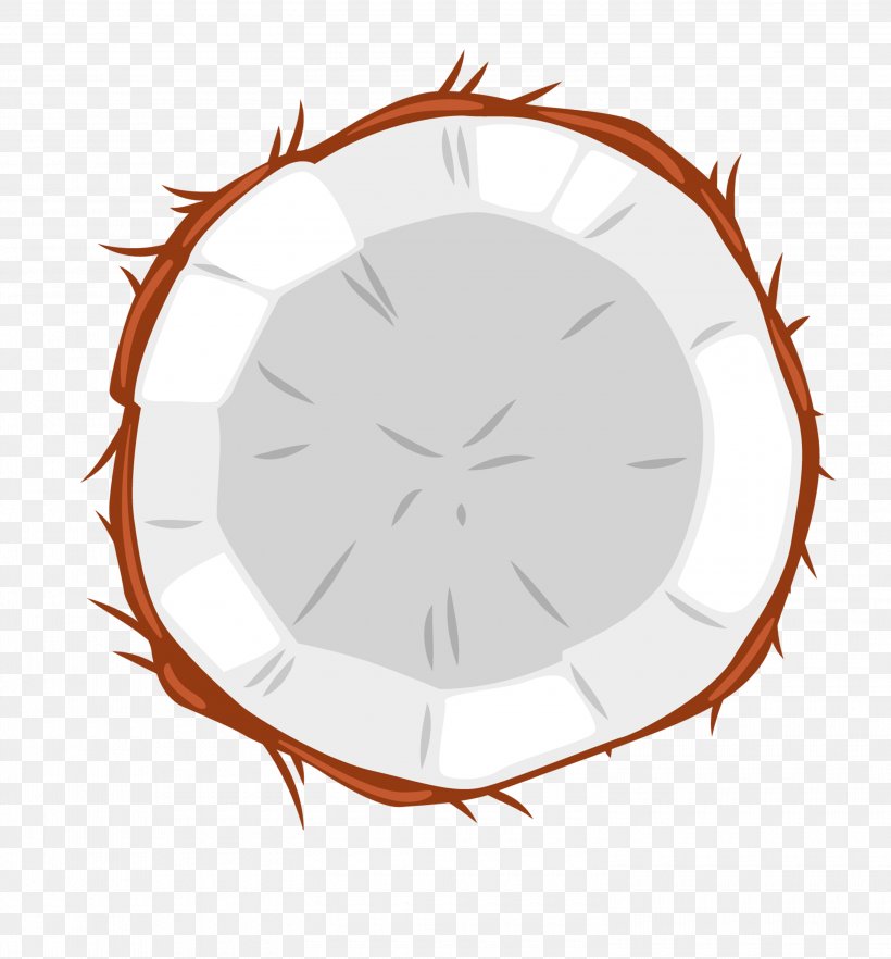 Fruit Coconut Auglis, PNG, 3000x3230px, Fruit, Auglis, Clock, Coconut, Drawing Download Free
