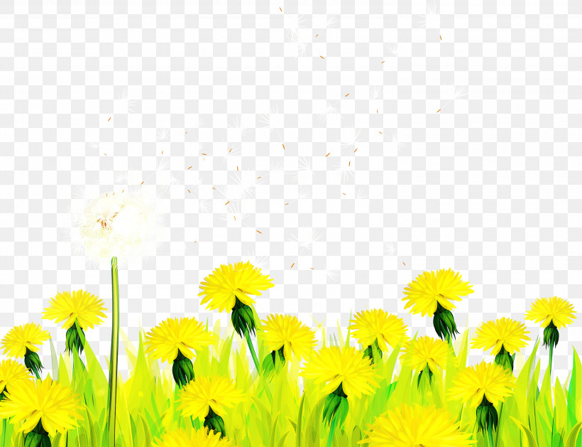 Sunflower, PNG, 3000x2304px, Flower, Daisy Family, Dandelion, Field, Grass Download Free