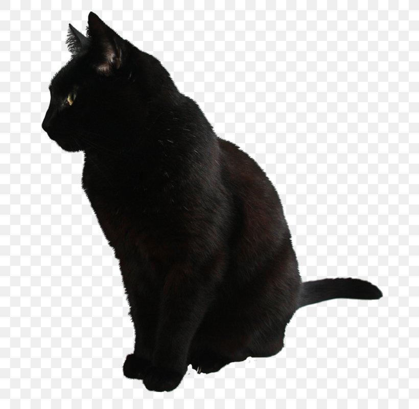 Cat Clip Art, PNG, 727x800px, Cat, Asian, Black, Black Cat, Bombay Download Free