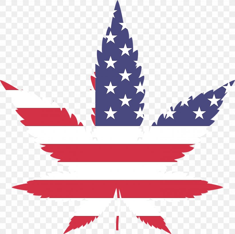 Flag Of The United States Cannabis Industry Legality Of Cannabis By U.S. Jurisdiction, PNG, 3000x2995px, United States, Cannabis, Cannabis Industry, Cannabis Sativa, Flag Download Free