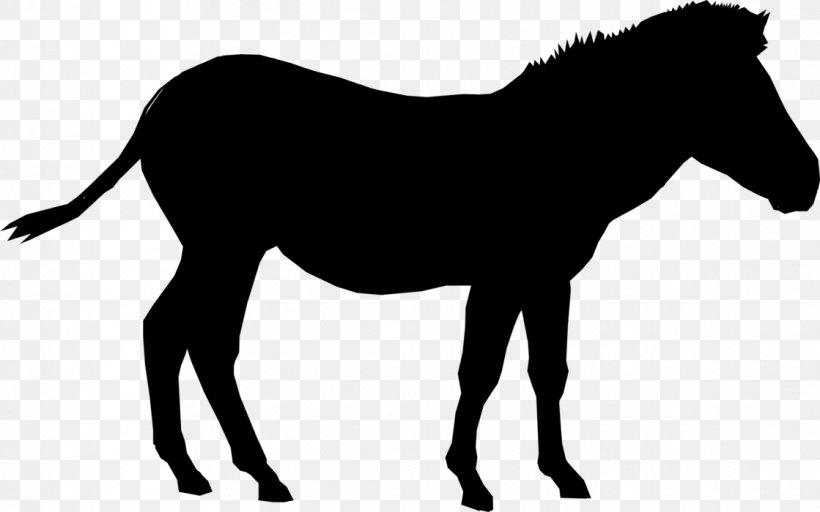 Foal Mustang Pony Mare Stallion, PNG, 1119x700px, Foal, Animal Figure, Black, Blackandwhite, Bridle Download Free