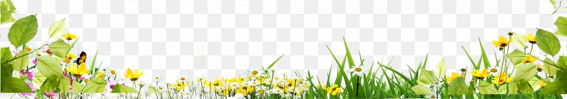 Grass Flower, PNG, 4125x720px, Grass, Commodity, Computer, Designer, Energy Download Free