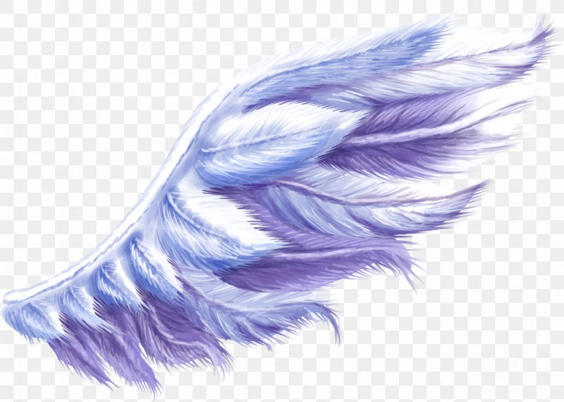 Purple Animals Wing Feather Clip Art, PNG, 1688x1203px, Purple Animals, Angel Wing, Color, Computer Software, Feather Download Free