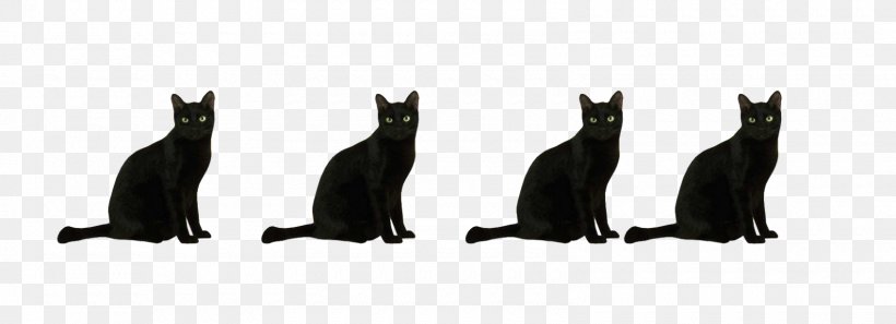 Cat Black Flightless Bird White, PNG, 1600x580px, Cat, Bird, Black, Black And White, Black Cat Download Free