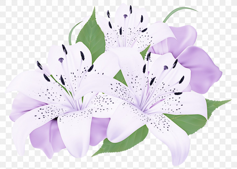 Floral Design, PNG, 3000x2143px, Floral Design, Cartoon, Cut Flowers, Easter Lily, Flower Download Free