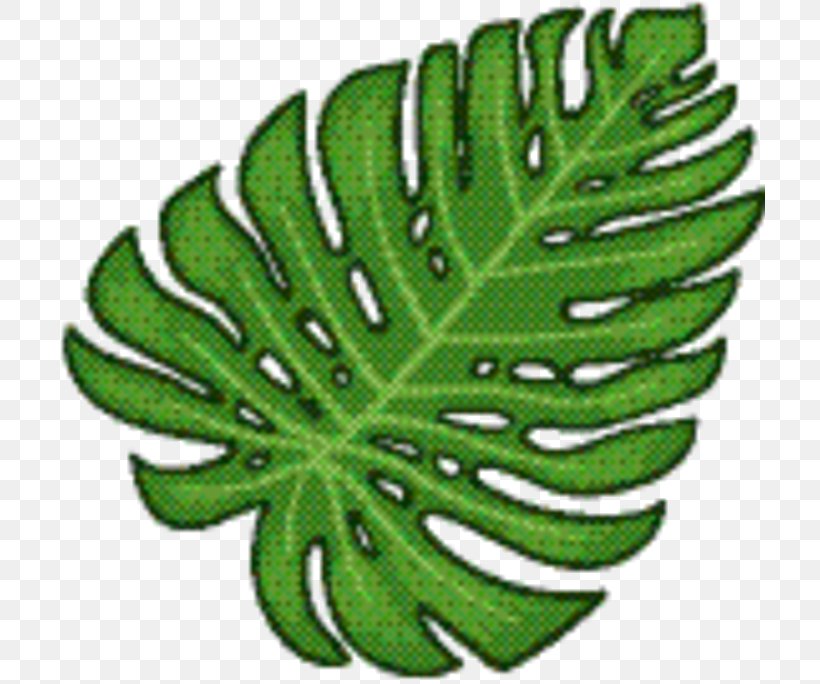 Green Leaf Background, PNG, 710x684px, Green, Botany, Flower, Fruit, Leaf Download Free