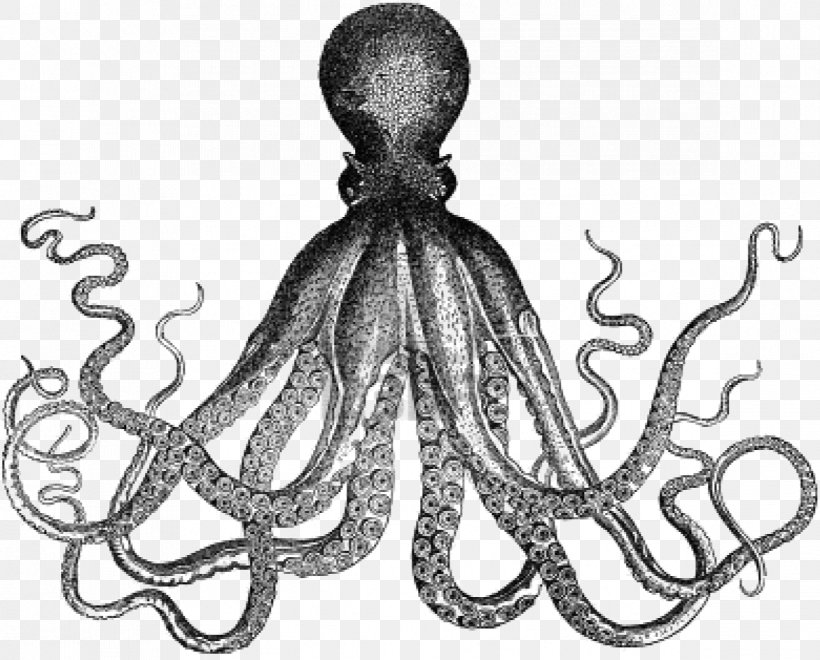 Octopus Antique Kraken Clip Art, PNG, 1171x943px, Octopus, Antique, Black And White, Blueringed Octopus, Body Jewelry Download Free