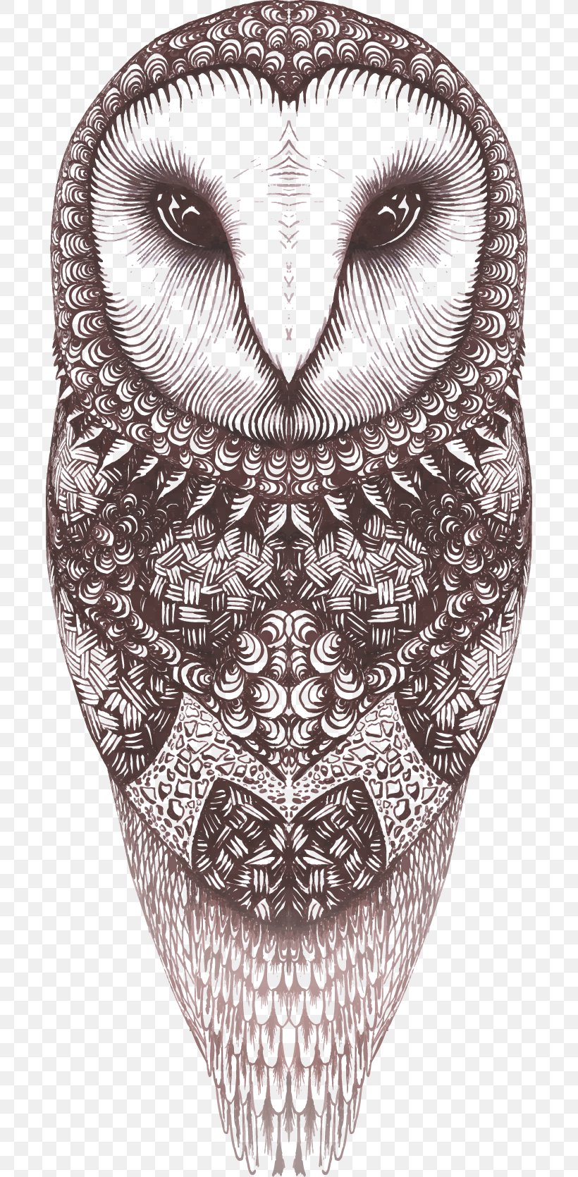 Owl Euclidean Vector, PNG, 690x1670px, Owl, Artworks, Beak, Bird, Bird Of Prey Download Free