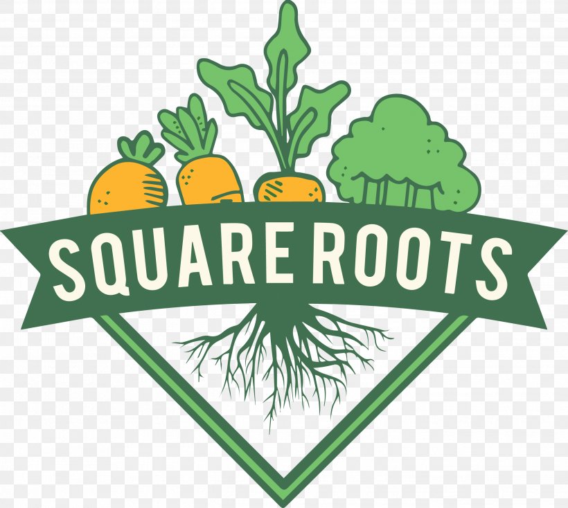 Square Root Food Area Produce, PNG, 2693x2413px, Square Root, Area, Artwork, Brand, Eating Download Free