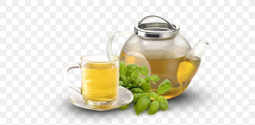 Tea Coffee Infusion Basil Fizzy Drinks, PNG, 627x403px, Tea, Anise, Basil, Coffee, Cup Download Free