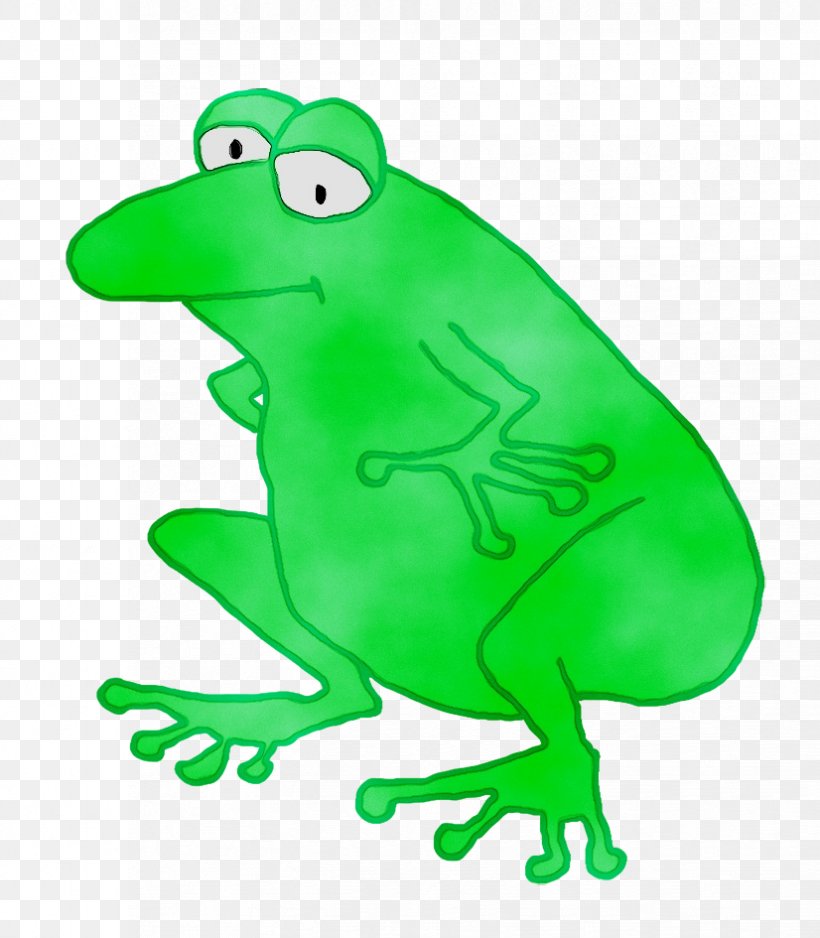 True Frog Amphibians Tree Frog Clip Art, PNG, 826x945px, Frog, Amphibian, Amphibians, Cartoon, Common Toad Download Free