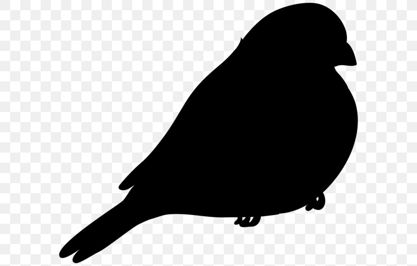 Beak American Sparrows Clip Art Fauna Silhouette, PNG, 600x523px, Beak, American Sparrows, Bird, Black M, Blackandwhite Download Free