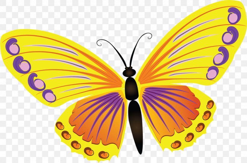 Butterfly Light Color, PNG, 1280x844px, Butterfly, Art, Arthropod, Brush Footed Butterfly, Color Download Free
