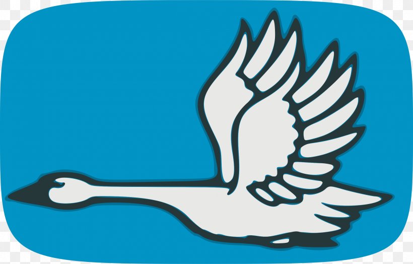 Flight Black Swan Trumpeter Swan Bird Clip Art, PNG, 2400x1534px, Flight, Animation, Artwork, Beak, Bird Download Free