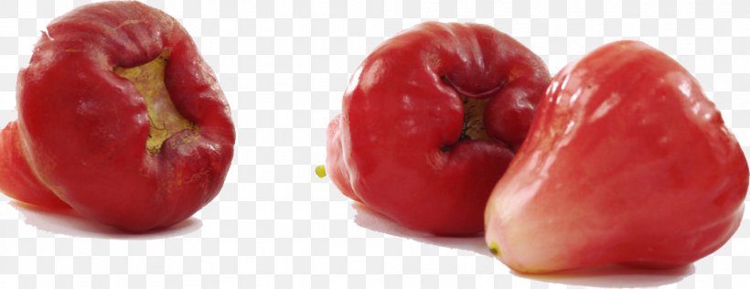 Java Apple Common Guava Syzygium Jambos Eating, PNG, 1011x390px, Java Apple, Acerola, Apple, Auglis, Bell Pepper Download Free