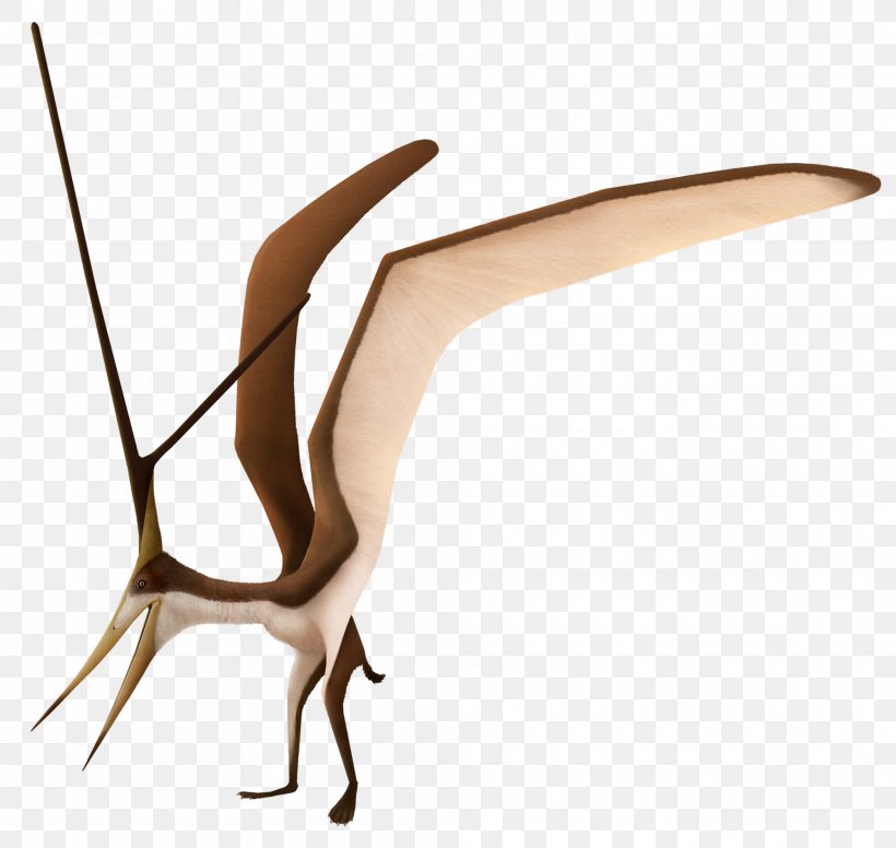 Nyctosaurus Pterodactyloidea Ornithocheiroidea Dinosaur Pteranodon, PNG, 2000x1895px, Nyctosaurus, Antler, Austriadactylus, Dinosaur, Geosternbergia Download Free