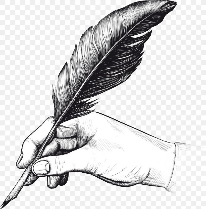Quill Fountain Pen Drawing Writing, PNG, 1005x1022px, Quill, Bird, Black And White, Drawing, Feather Download Free