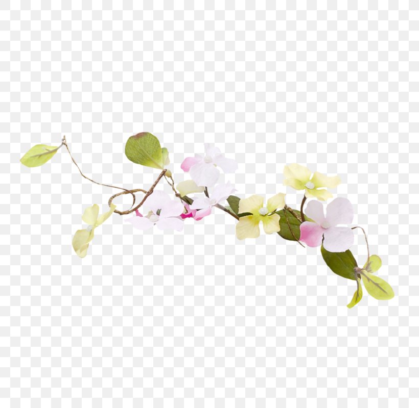 Easter Flower ST.AU.150 MIN.V.UNC.NR AD Floral Design Moth Orchids, PNG, 800x800px, Easter, Blossom, Branch, Cherry Blossom, Flora Download Free