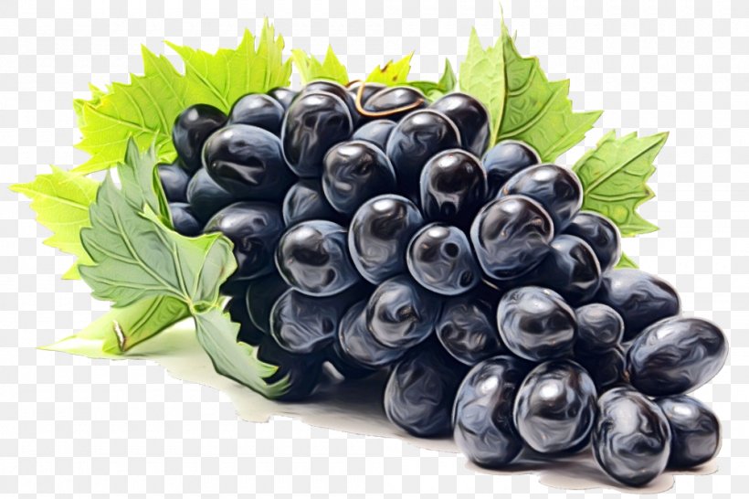 Grape Fruit Berry Grapevine Family Superfood, PNG, 1000x667px, Watercolor, Berry, Bilberry, Blueberry, Food Download Free