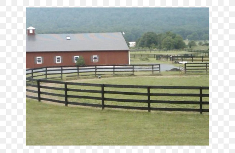 Horse Fence Pasture Ranch Property, PNG, 800x533px, Horse, Barn, Farm, Fence, Grass Download Free