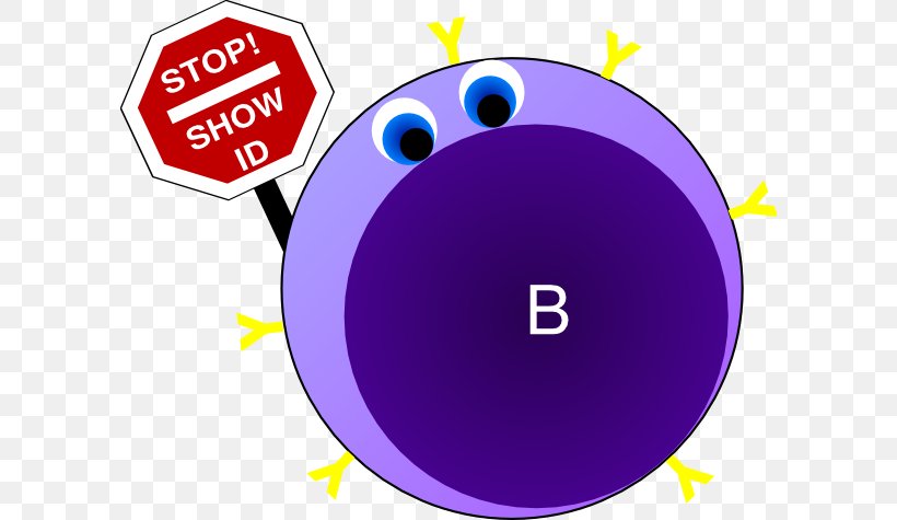 Memory B Cell Blood Cell Clip Art, PNG, 600x475px, B Cell, Antibody, Area, Blood Cell, Brand Download Free