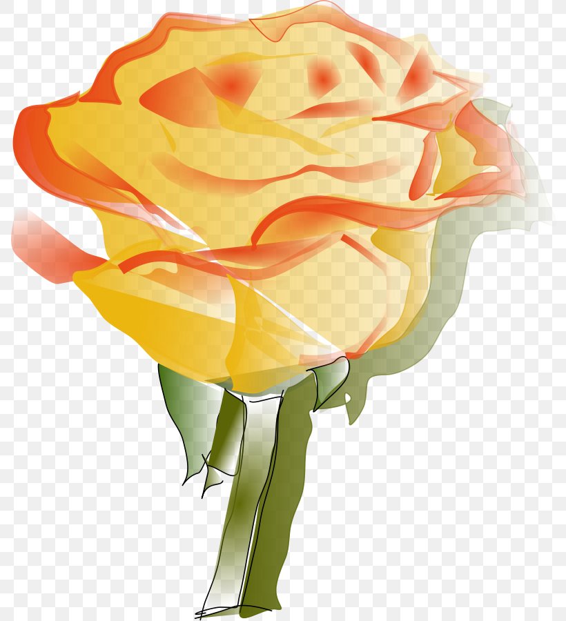 Rose Clip Art, PNG, 795x900px, Rose, Cut Flowers, Drawing, Floral Design, Floristry Download Free