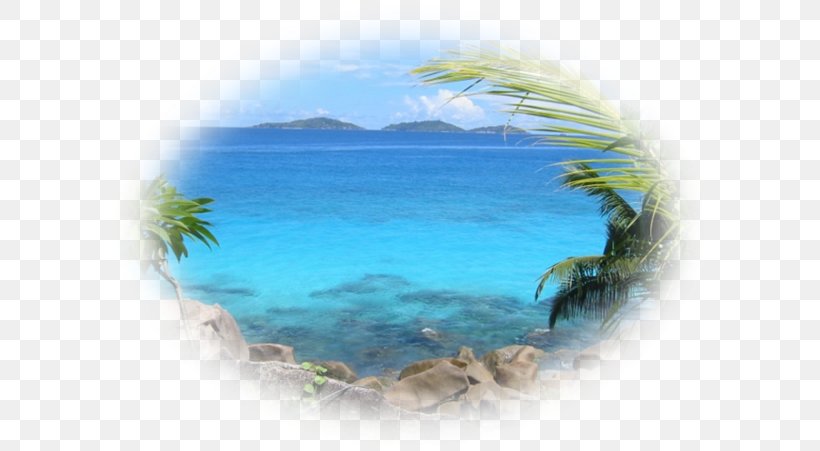Caribbean San Marino Italy Water Vacation, PNG, 600x451px, Caribbean, Coastal And Oceanic Landforms, Italy, Microsoft Azure, Ocean Download Free