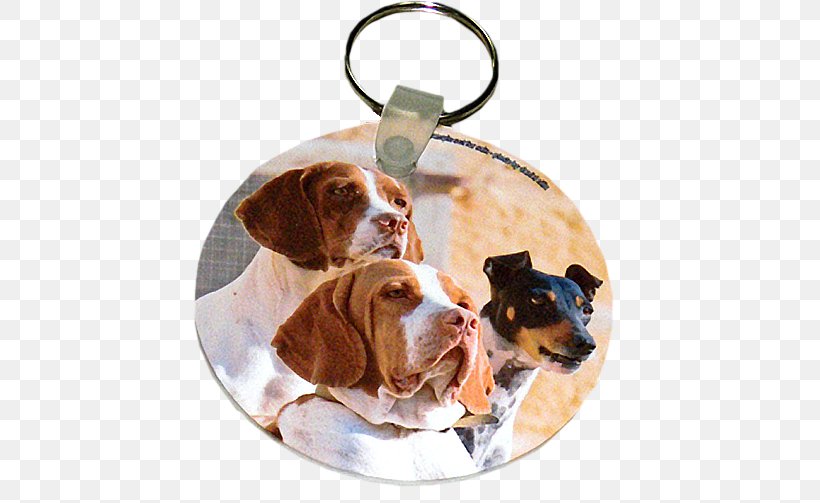 Dog Breed Treeing Walker Coonhound Key Chains Puppy Gift, PNG, 519x503px, Dog Breed, Animal, Breed, Canvas Print, Carnivoran Download Free