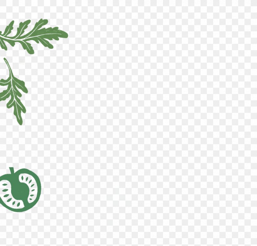 Leaf Plant Stem Font Line Branching, PNG, 960x920px, Leaf, Branch, Branching, Grass, Green Download Free