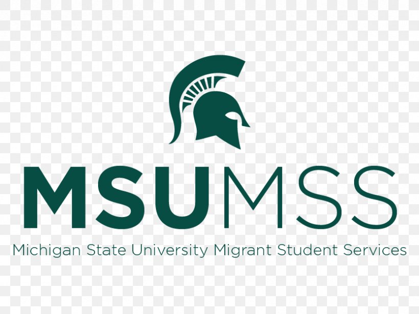 Michigan State University Michigan State Spartans Football Logo Brand, PNG, 833x625px, Michigan State University, Brand, Logo, Michigan, Michigan State Spartans Download Free