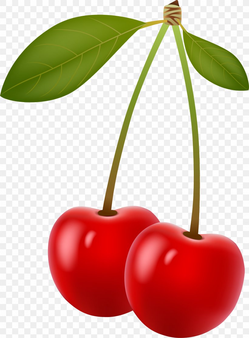 Cherry Berry Clip Art, PNG, 3001x4071px, Cherry, Berry, Food, Free Content, Fruit Download Free