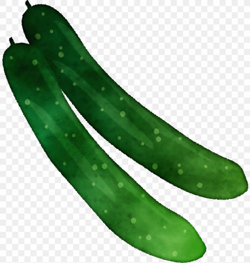 Cucumber Fermented Cucumbers, PNG, 1522x1600px, Watercolor, Cucumber, Fermented Cucumbers, Paint, Wet Ink Download Free