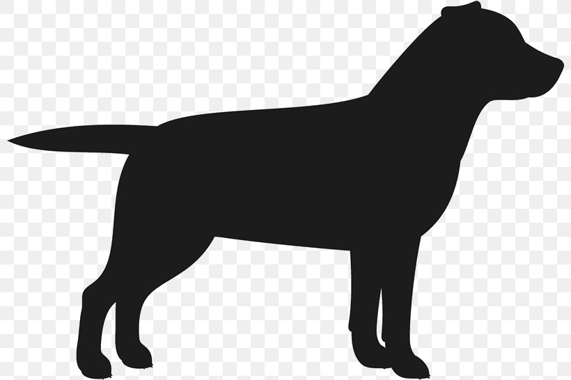 Dog And Cat, PNG, 801x546px, Labrador Retriever, American Pit Bull Terrier, Breed, Cane Corso, Cat Download Free