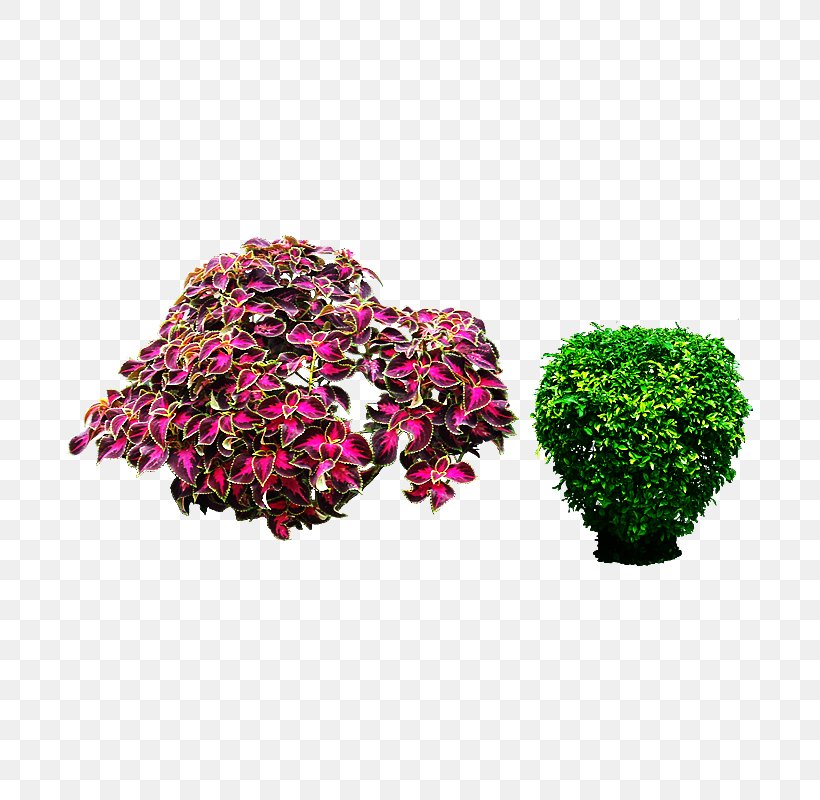 Landscape Plant Download, PNG, 800x800px, Landscape, Computer Graphics, Floral Design, Flower, Flowerpot Download Free