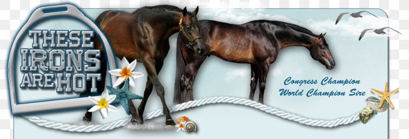 Mustang Bridle Rein Horse Harnesses Halter, PNG, 1000x342px, Mustang, Advertising, Animal Figure, Bit, Brand Download Free