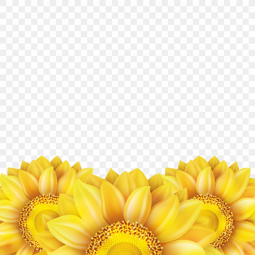 Common Sunflower Euclidean Vector, PNG, 2655x2655px, Common Sunflower, Cut Flowers, Daisy Family, Flower, Flowering Plant Download Free