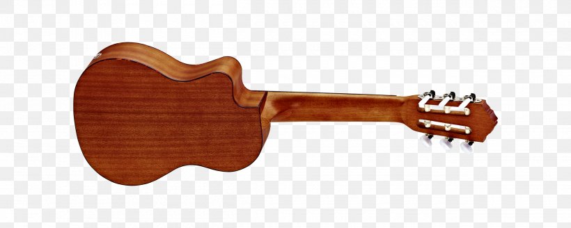 ESP LTD EC-1000 Ukulele Musical Instruments Bass Guitar, PNG, 2500x1000px, Watercolor, Cartoon, Flower, Frame, Heart Download Free