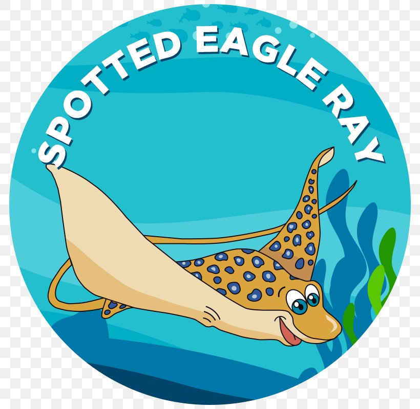 Learning Swimming Spotted Eagle Ray Eagle Rays Octopus, PNG, 800x800px, Learning, Aqua, Area, Beak, Bird Download Free