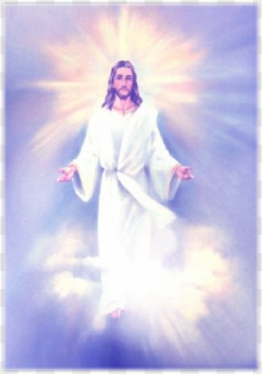 Jesus Son Of God Clip Art, PNG, 540x551px, Jesus, Christianity ...