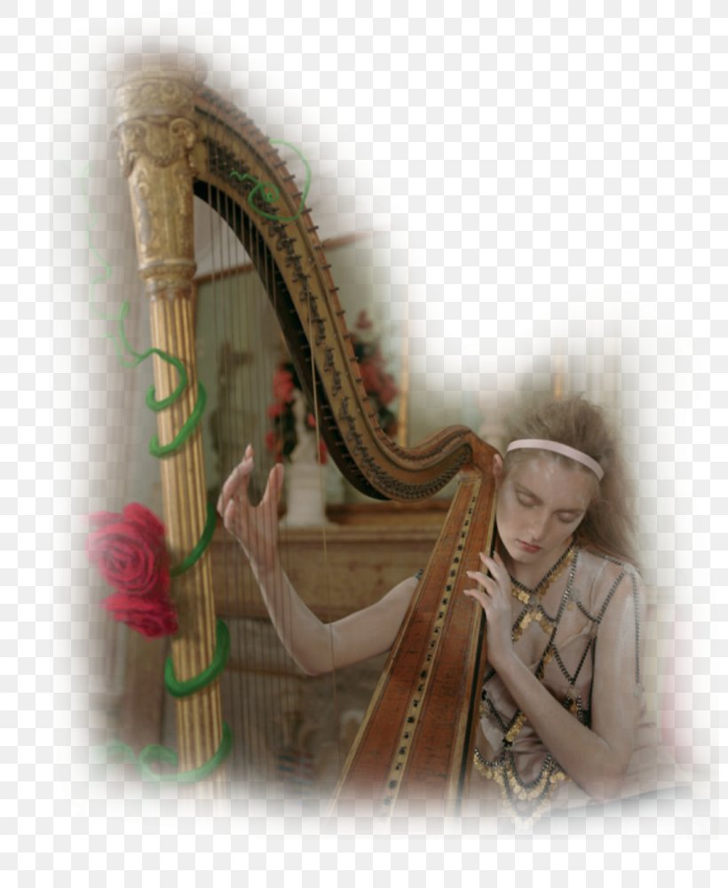 Celtic Harp Musician Violin Musical Instruments, PNG, 800x1000px, Watercolor, Cartoon, Flower, Frame, Heart Download Free