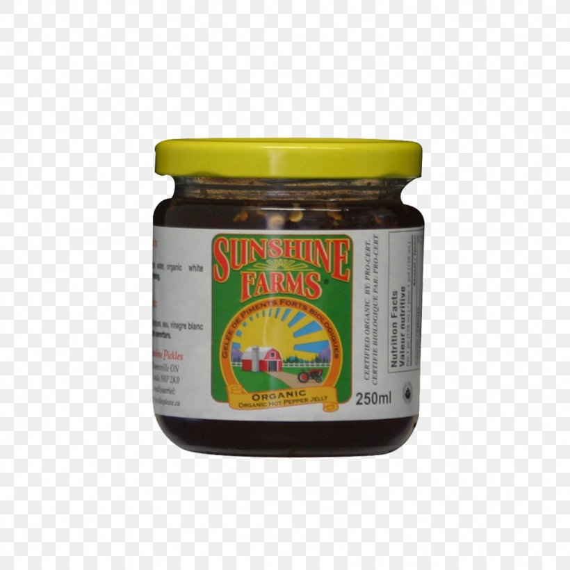 Chutney Sauce Flavor, PNG, 1024x1024px, Chutney, Condiment, Cuisine, Flavor, Ingredient Download Free