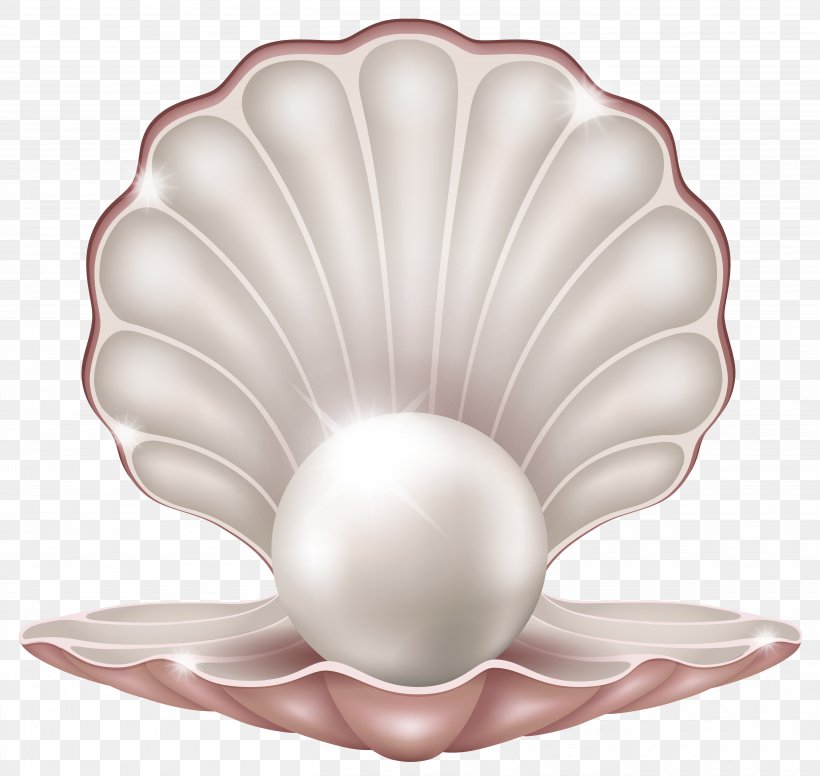 Clam Pearl Seashell Clip Art, PNG, 5270x4989px, Clam, Flower, Free Content, Mollusc Shell, Pearl Download Free