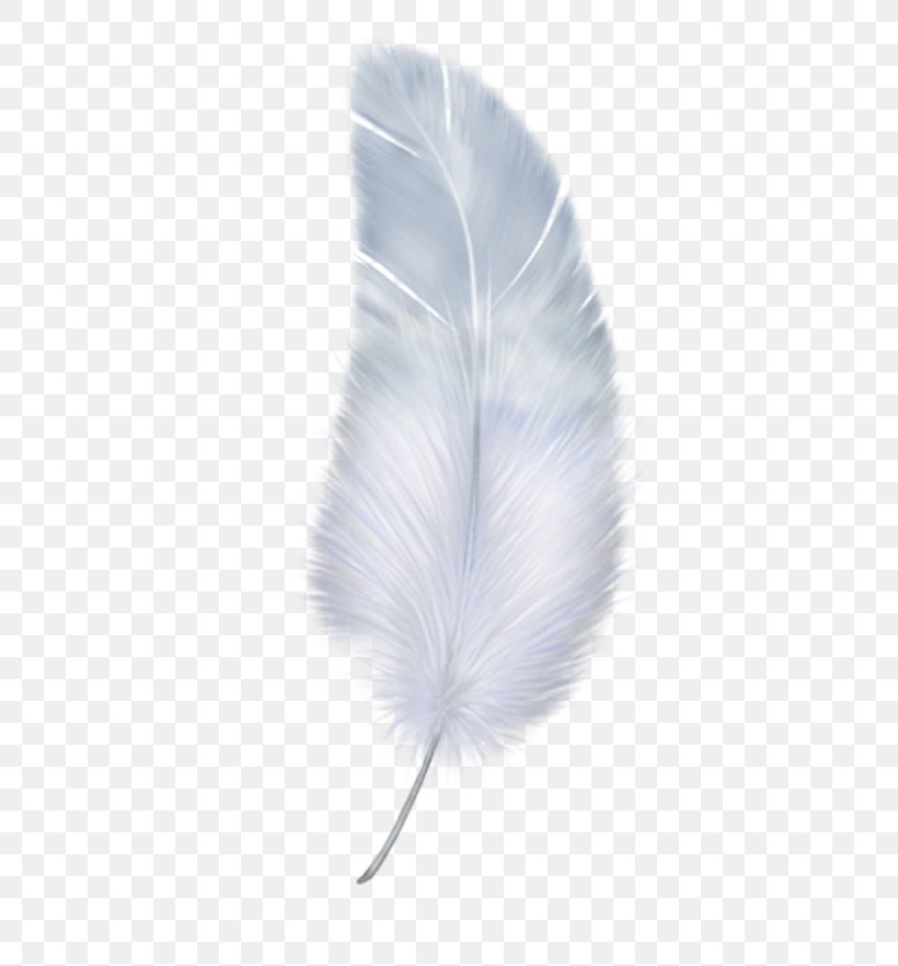 Feather Wing White, PNG, 600x882px, Feather, Aile, Feathered Dinosaur, Material, White Download Free